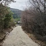 дивото